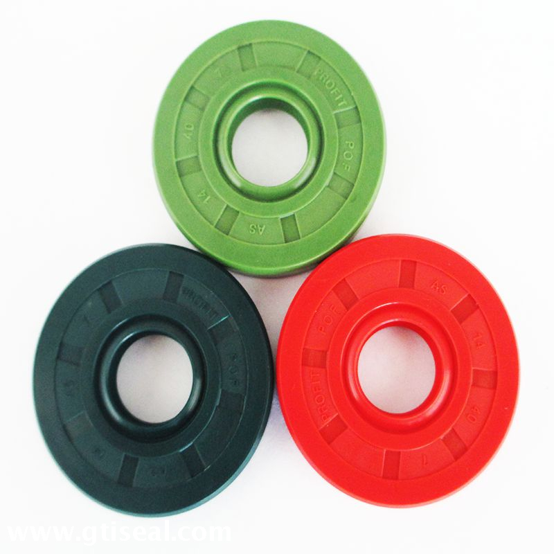 Competitive Wholesale Automotive Car and Industrial Dual Lips Form Rubber TG Plastics Oil Seal 