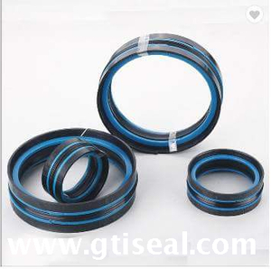 Heavy machinery DAS Double-acting compact piston seal